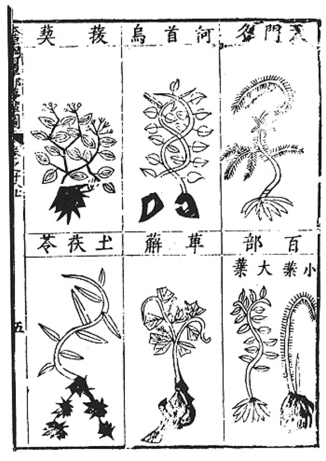 A page from Li Shizhen’s Bencao Gangmu (Compendium of Materia Medica), 1603 edition.